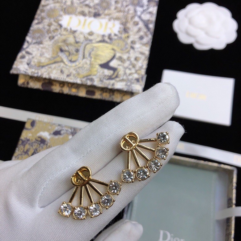 Christian Dior Earrings